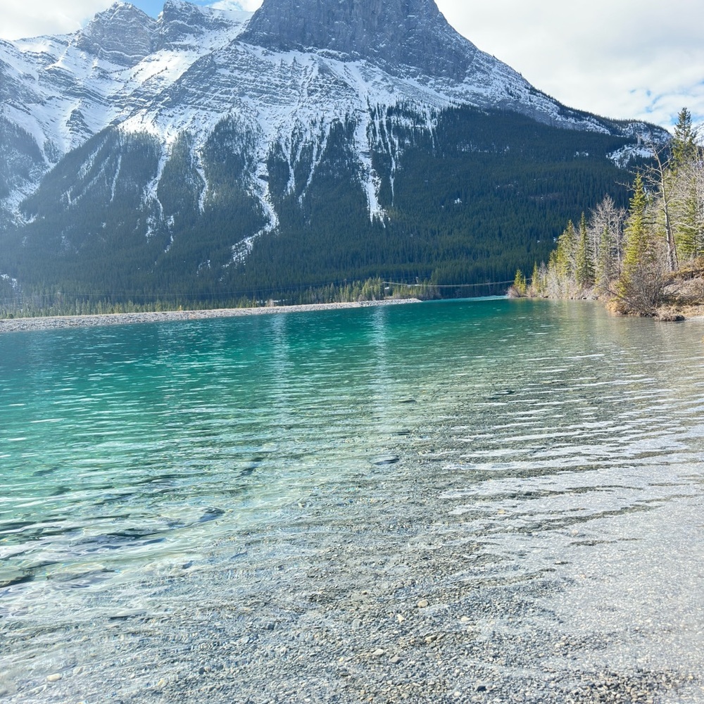 Meet your Posher, Nick